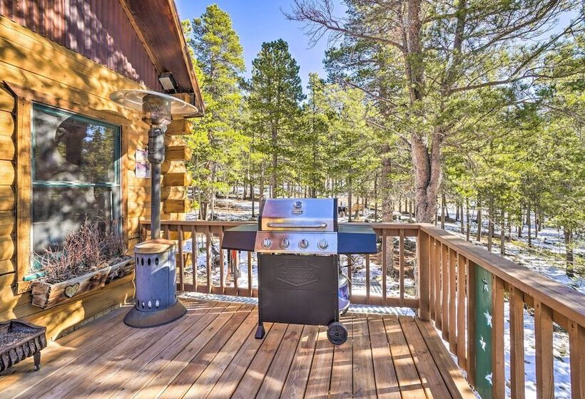 Adorable Black Hawk Mountain Log Cabin: Fire Pit