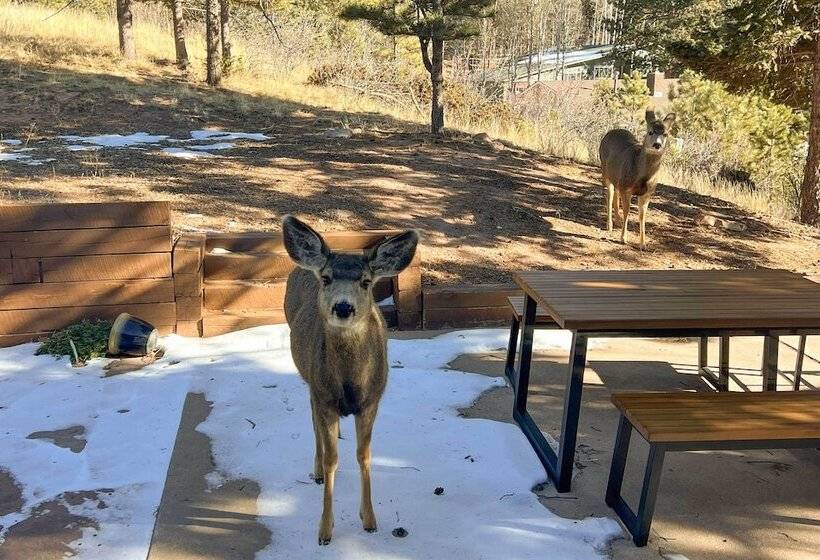 Woodland Park Hideaway W/ Mtn Views & Hot Tub