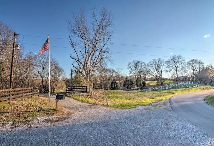 Bright Green Gables Cabin: Hike, Swim & Bbq