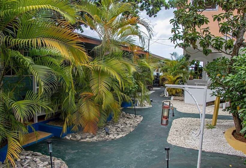 هتل Momsplace Guesthouse