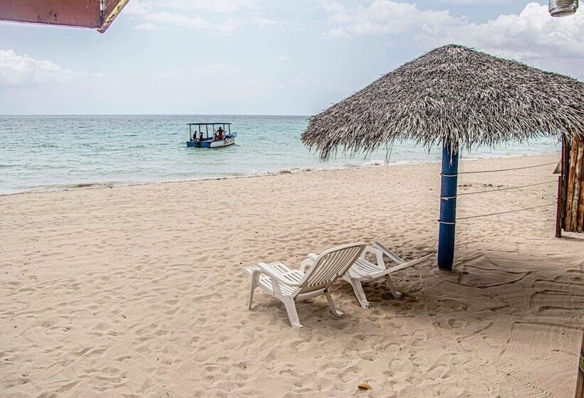 هتل Momsplace Guesthouse