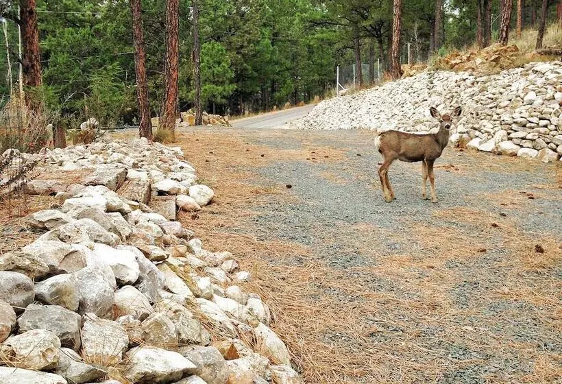 Quiet Ruidoso Hideaway   2 Mi To Grindstone Lake!