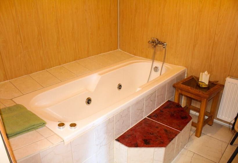 Amable Hotel Don Lucas