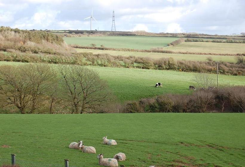 Cornish Valley View B&b