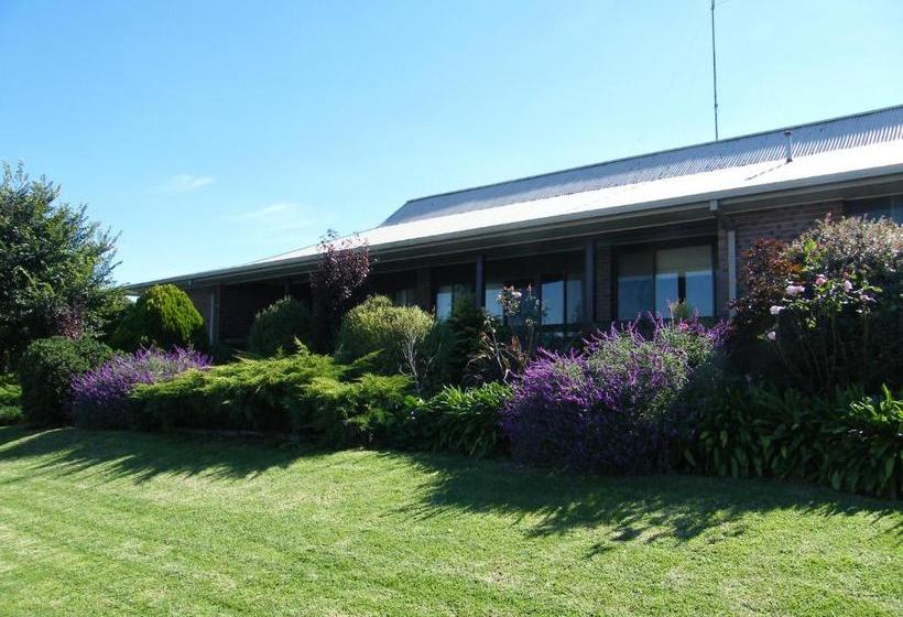 호텔 Boomers Guest House Hamilton