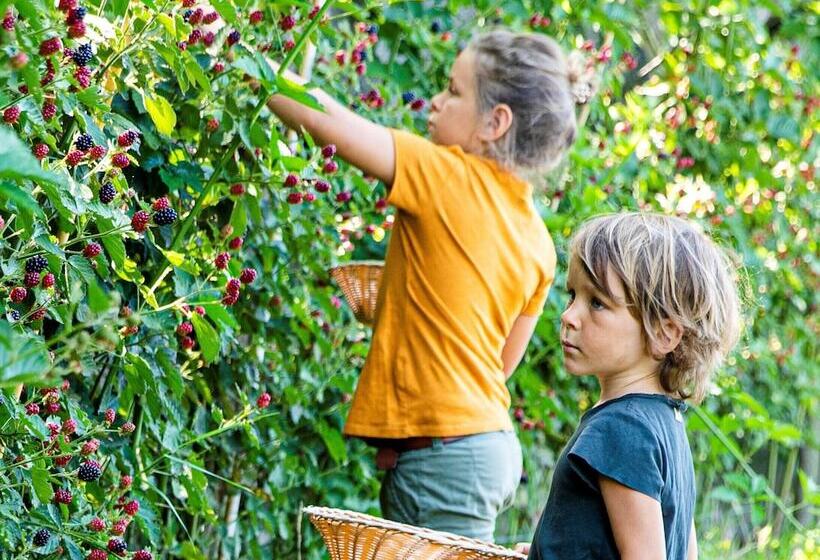 فندق Finkennest Panoramic Garden Resort