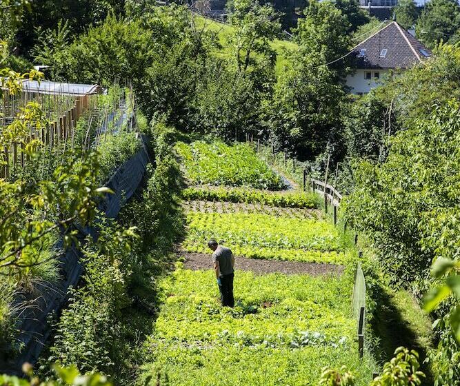 فندق Finkennest Panoramic Garden Resort