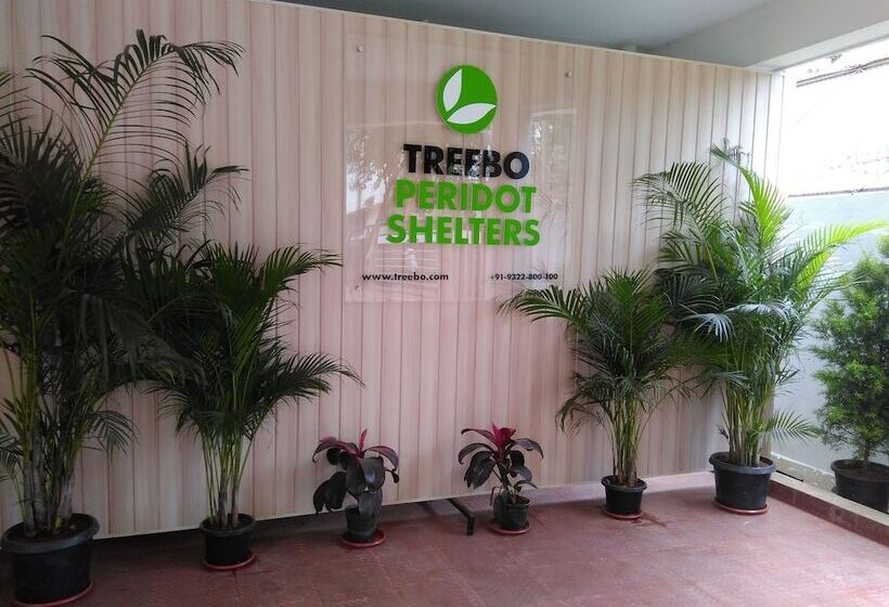 Itsy Hotels Worldtree