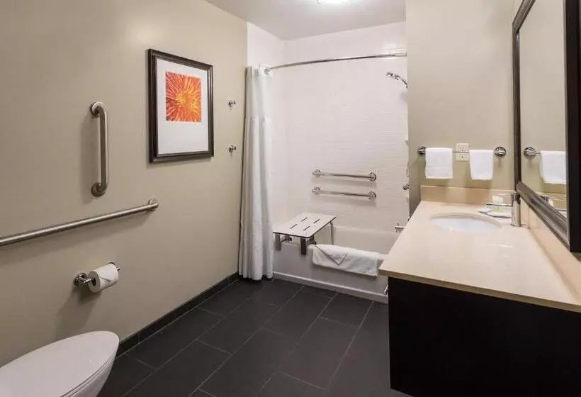 ホテル Staybridge Suites Omaha West By Ihg