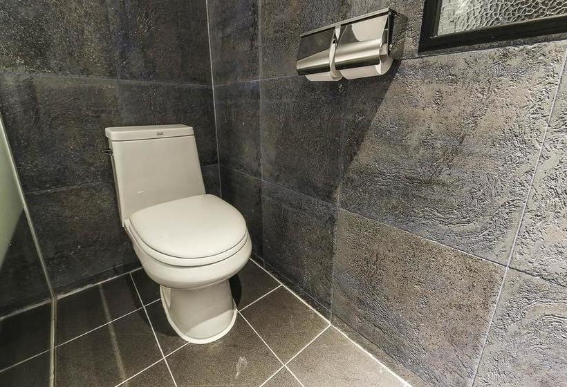 فندق Western River