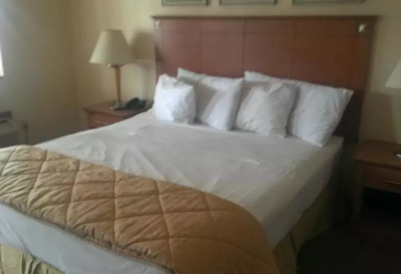 モーテル Naugatuck Motor Lodge