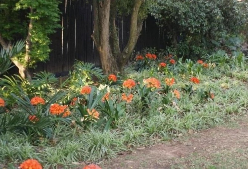 Пансион 3 Melrose Road