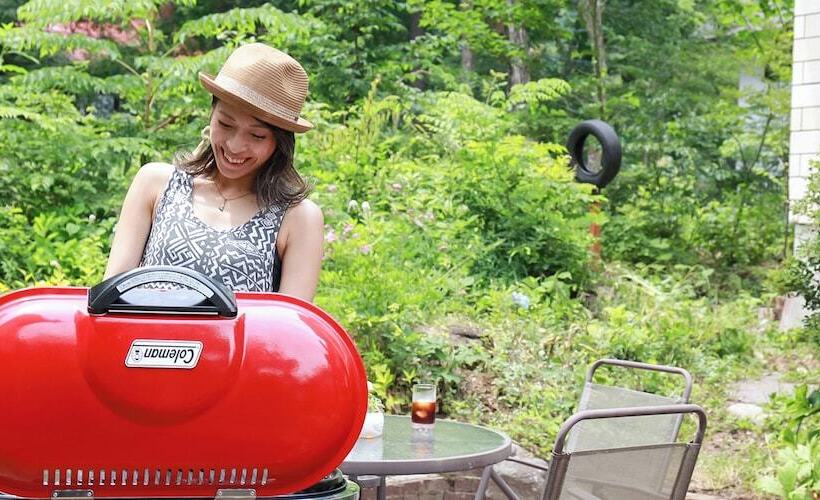 ペンション Land Haus Dancru Netz