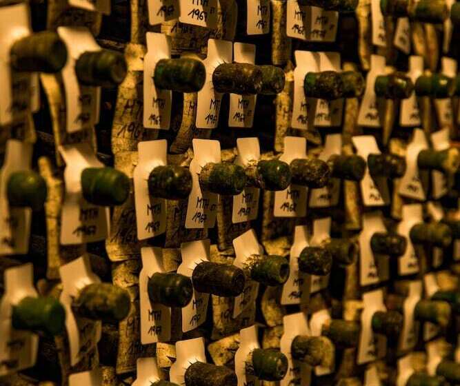 هتل Landgut Am Pößnitzberg