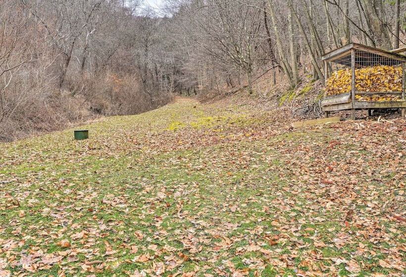 Charming Austin Cabin On 96 Acres Of Land!