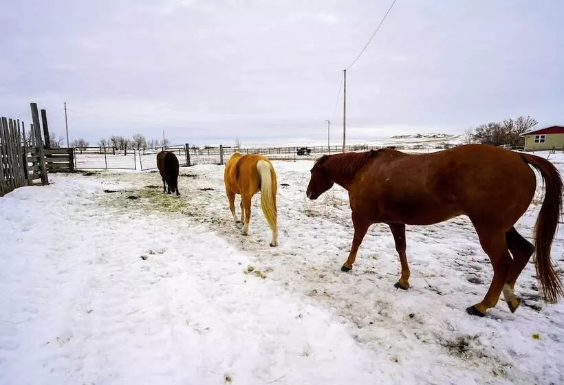 Charming  Corral Creek Ranch House  In Circle
