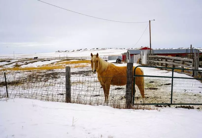 Charming  Corral Creek Ranch House  In Circle