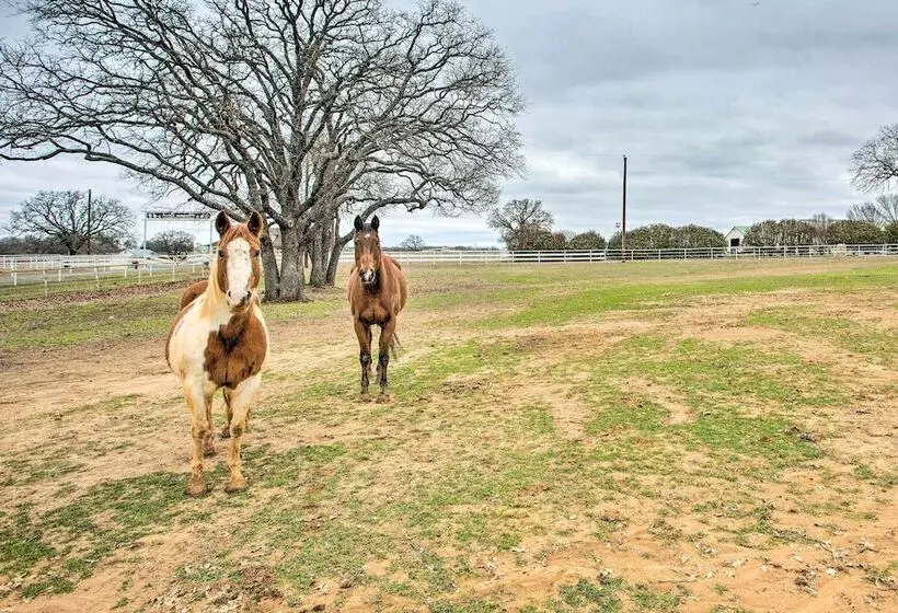 Dog Friendly Texas Ranch W/ Patio, Horses On Site