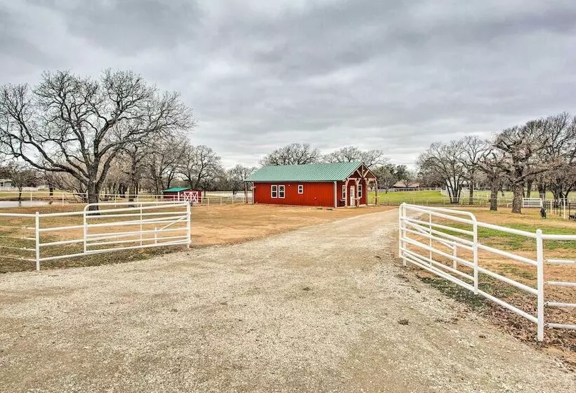 Dog Friendly Texas Ranch W/ Patio, Horses On Site