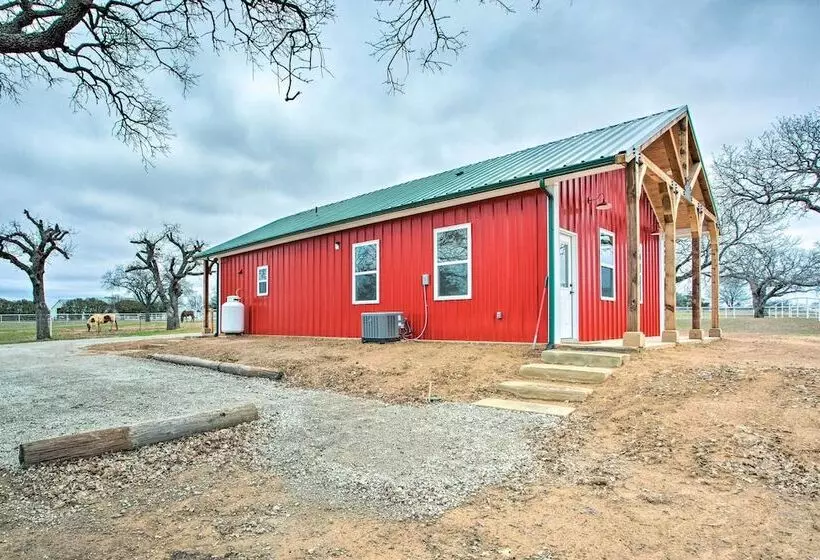 Dog Friendly Texas Ranch W/ Patio, Horses On Site
