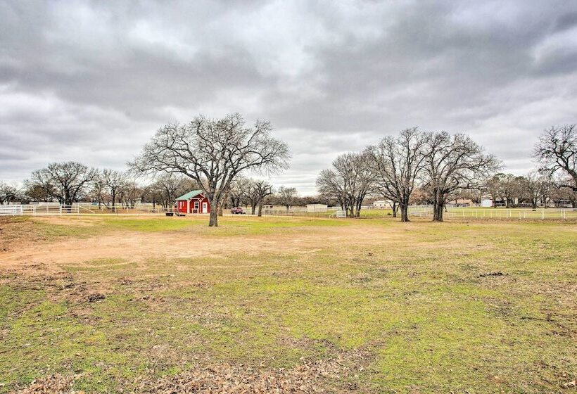 Dog Friendly Texas Ranch W/ Patio, Horses On Site