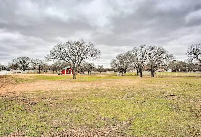 Dog Friendly Texas Ranch W/ Patio, Horses On Site