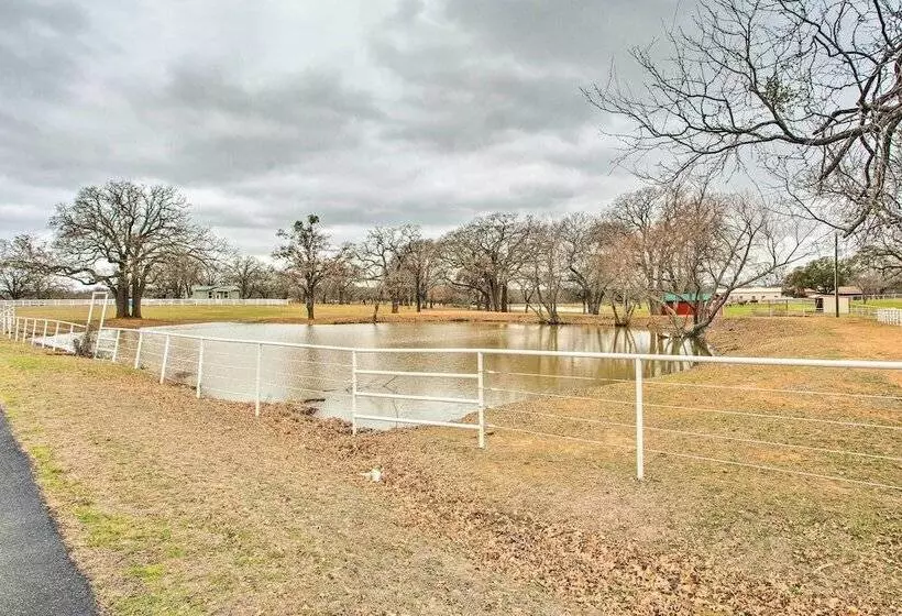 Dog Friendly Texas Ranch W/ Patio, Horses On Site