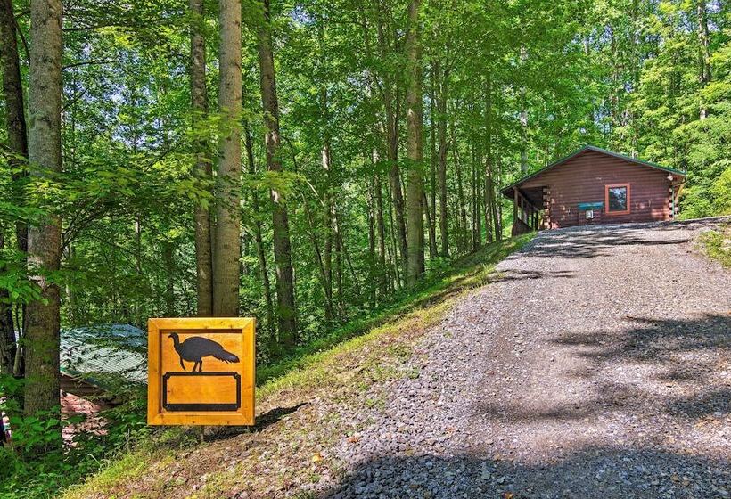 Clyde Cabin Hideaway: Porch & Grill