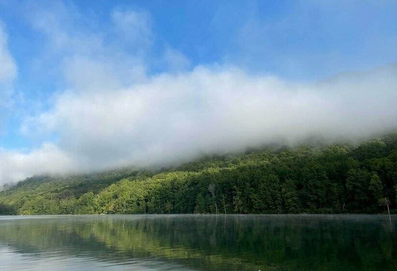 Cozy Lake Santeetlah Cottage With Dock & 3 Kayaks!