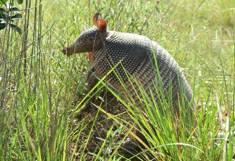 Quiet Utopia Cabin W/ Deck & Mountain Views!