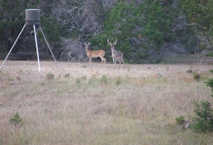 Quiet Utopia Cabin W/ Deck & Mountain Views!