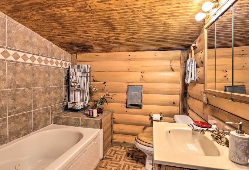 Mars Hill Ski Resort Cabin: 20 Miles To Asheville!