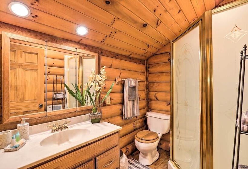 Mars Hill Ski Resort Cabin: 20 Miles To Asheville!