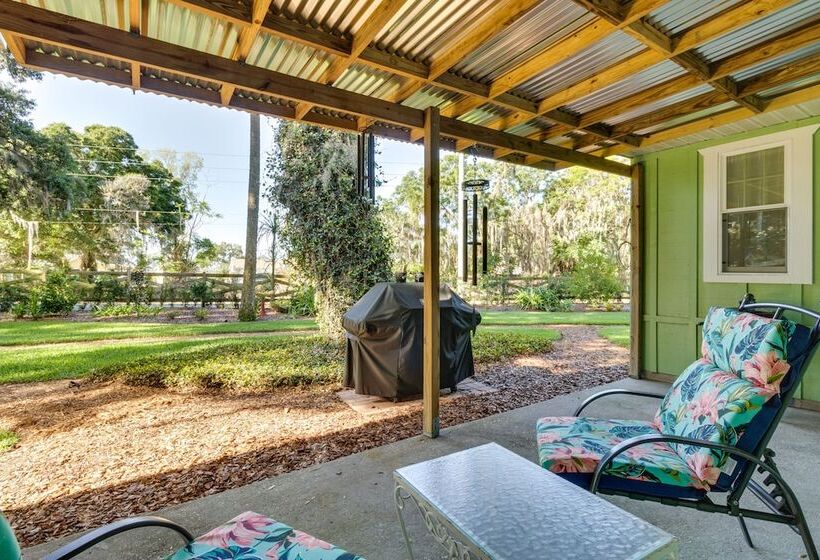 Mount Dora Tropical Escape: Steps To Lake Gertrude