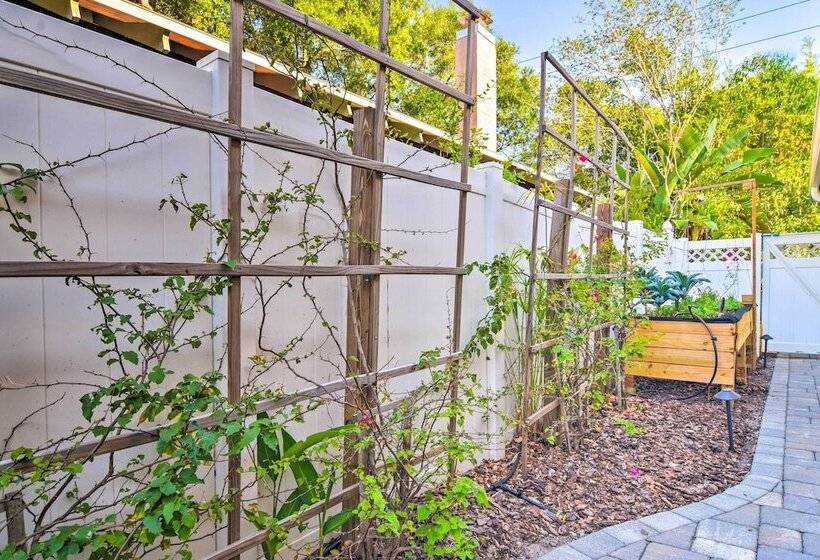 Bright St Petersburg Home W/ Pergola & Garden