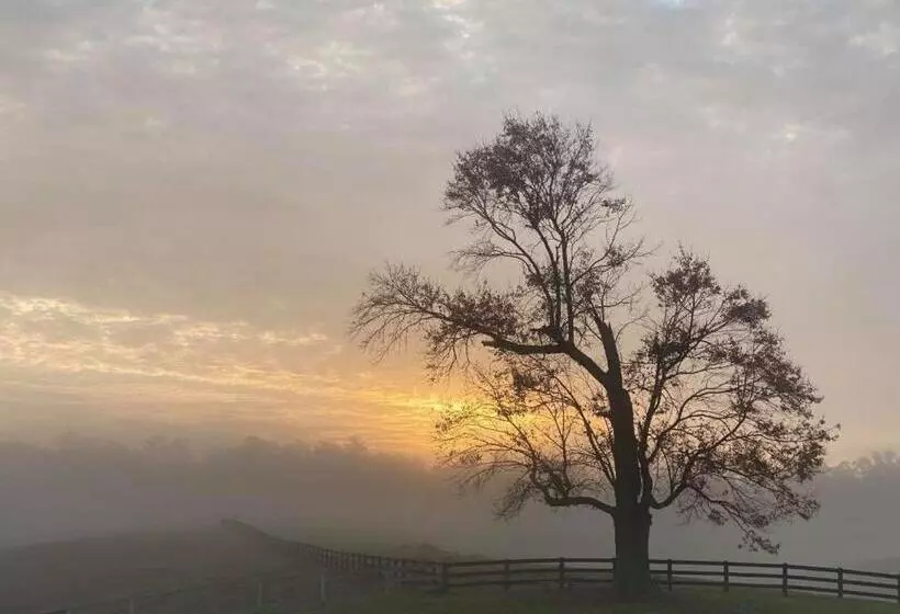 Hotelli Shenandoah Wilderness Traveler