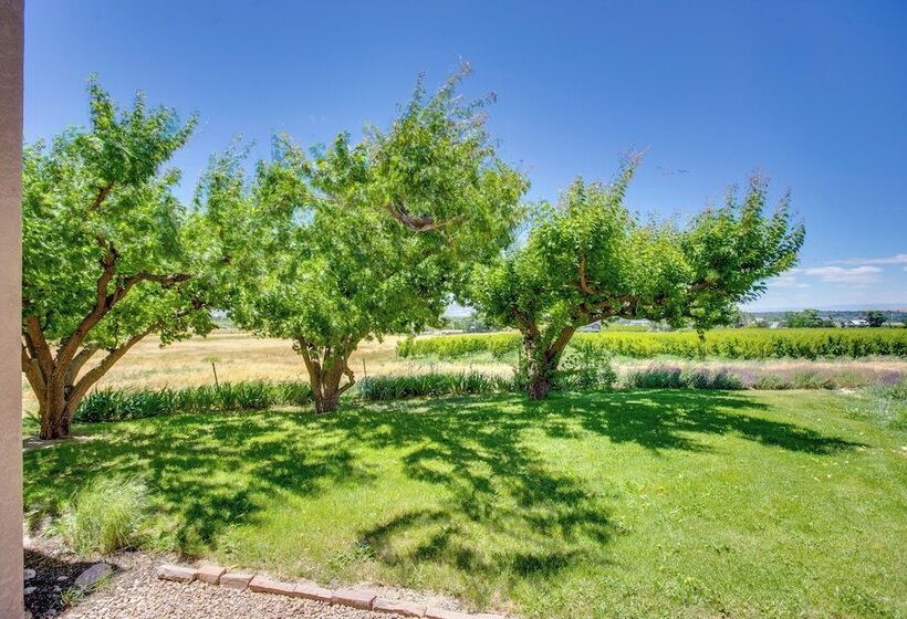 Mesa View House  W/ Hot Tub: Walk To Winery!