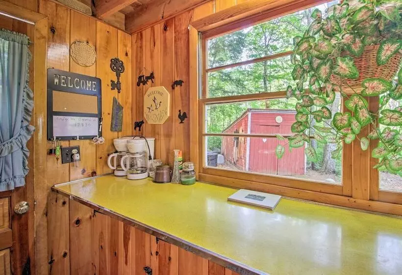 Quiet & Remote Cottage On Panther Pond!