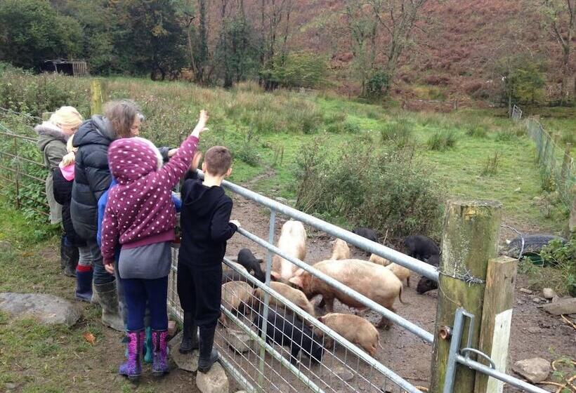 Relax In Mountain View Cottage At Cwmiar Farm