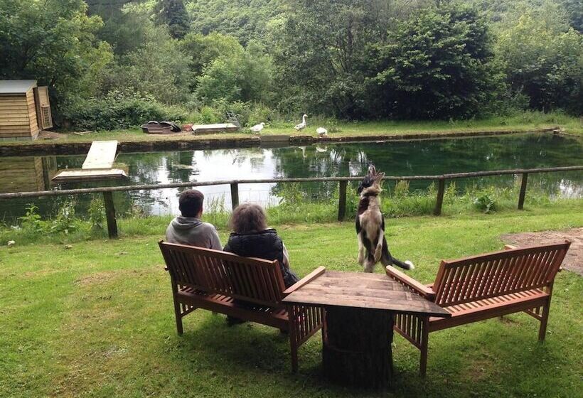 Relax In Mountain View Cottage At Cwmiar Farm