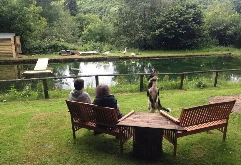 Relax In Mountain View Cottage At Cwmiar Farm