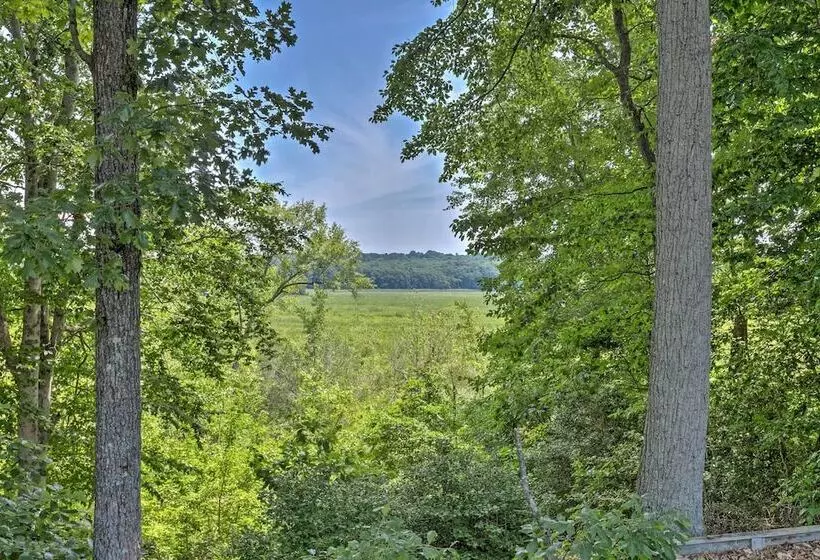 Juju S Place  Warsaw House W/ Deck & Tree Swings!