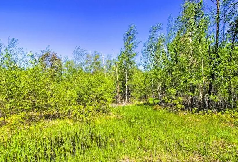 Rural  Harry S House  W/ Fire Pit On 20 Acres