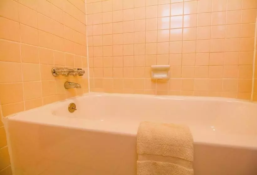 モーテル Oyo  Waurika Ok Us70