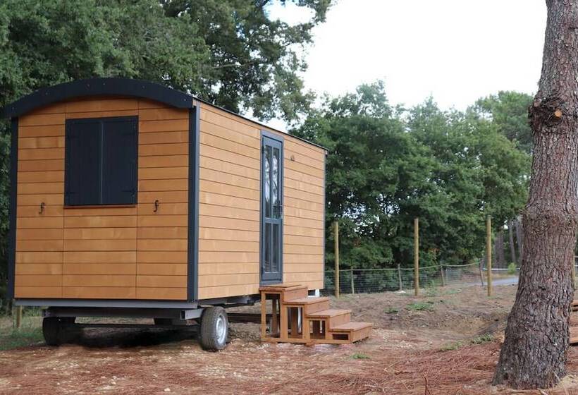 בית מלון כפרי Domaine El Campo