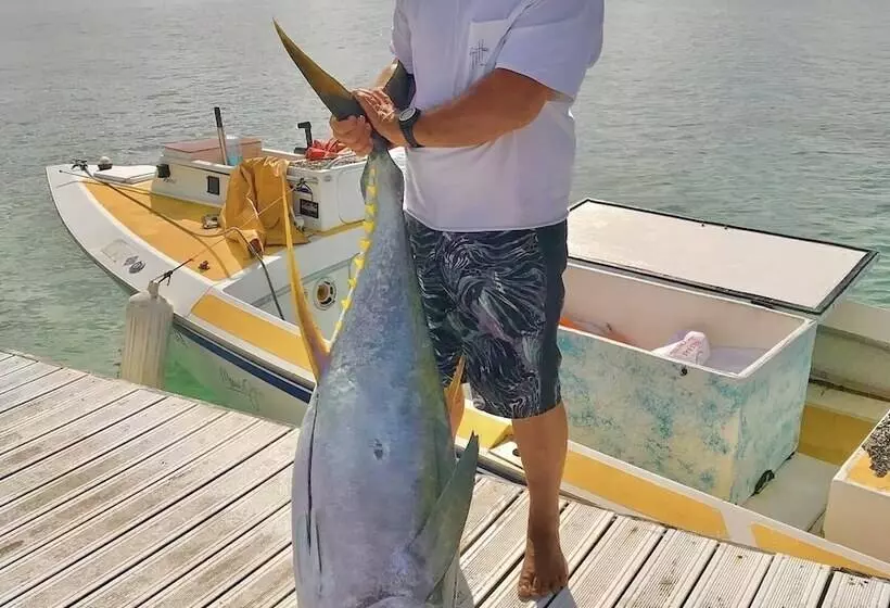 هتل Opoa Beach Hôtel