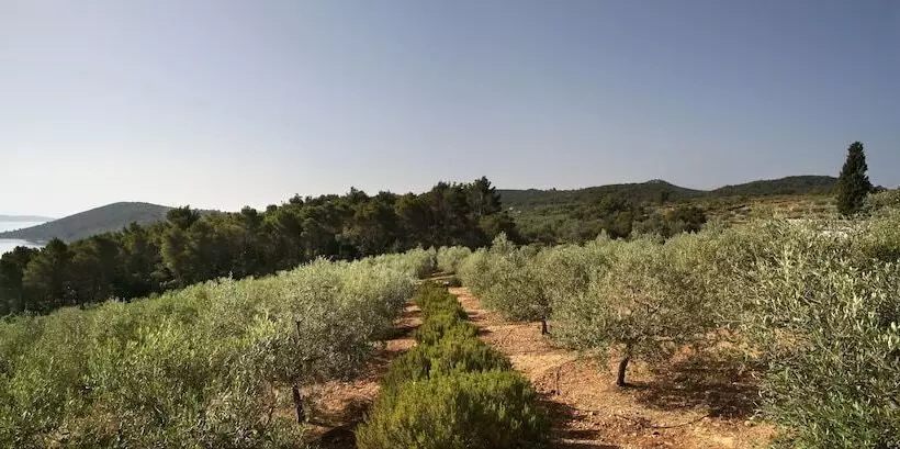 ホテル Villa Nai 3.3