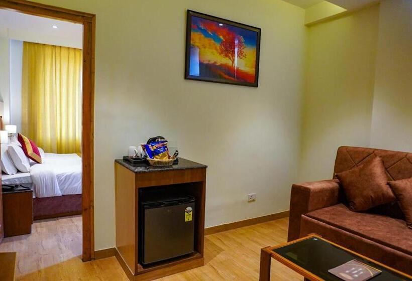 ホテル Comfort Inn Snow Park   Manali