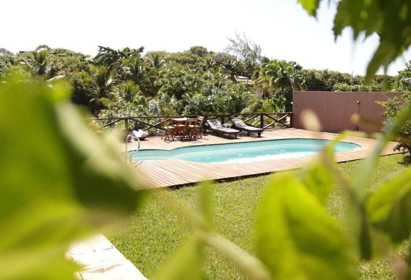 فندق فئة نجمة واحدة Pousada Mãe Natureza