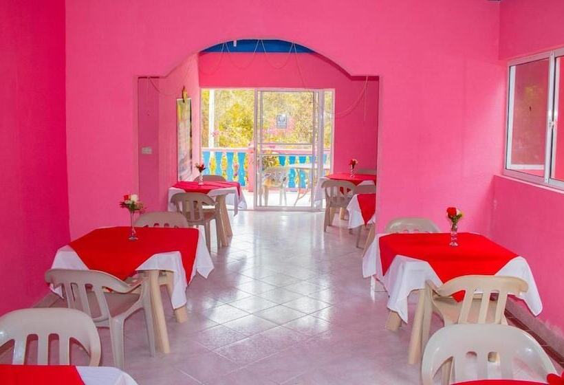 酒店 Cabañas El Encanto